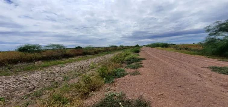 Galería 3