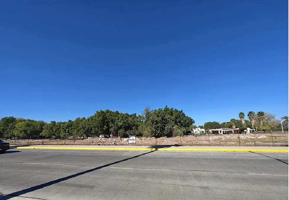 Terrenos sobre Blvd. Antonio Rosales