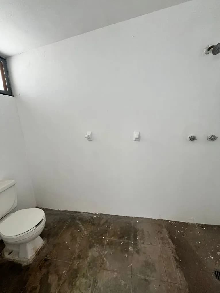 Galería 6