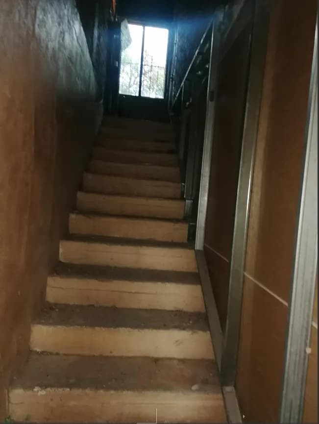 Galería 6