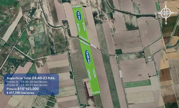 9_2931 | 24.40 HECTAREAS AGRÍCOLAS EN VENTA Ejido Suarez (Campo Gastélum o Cohuibampo), Ahome Sinaloa | Integralia Grupo Inmobiliario